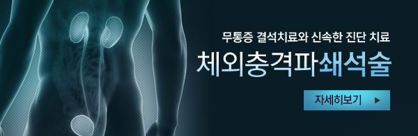 무통증 결석치료와 신속한 진단 치료 체외충격파쇄석술 자세히 보기