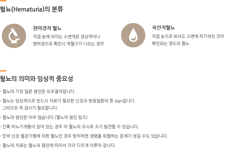 대치엘