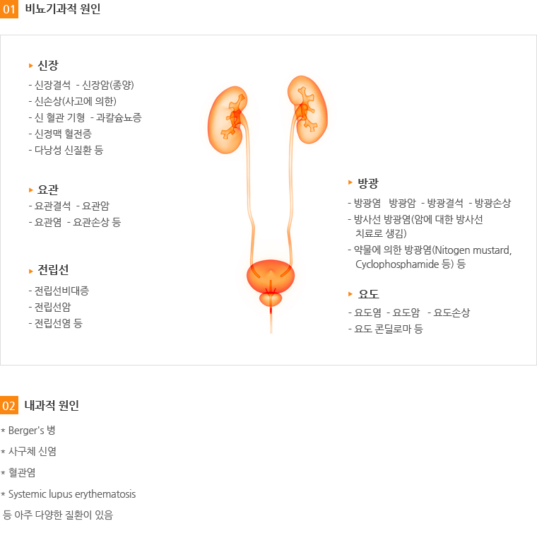 대치엘